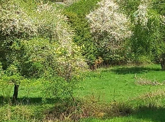 La Grange Aux 5 Sens Walscheid